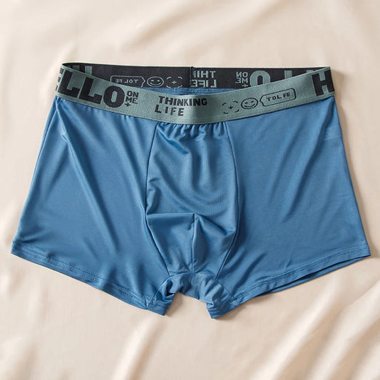 5pcs Boxer Shorts Ice Silk Men's Underwear Summer Breathable Underpants U Convex Lingerie Breathable Sexy Panties