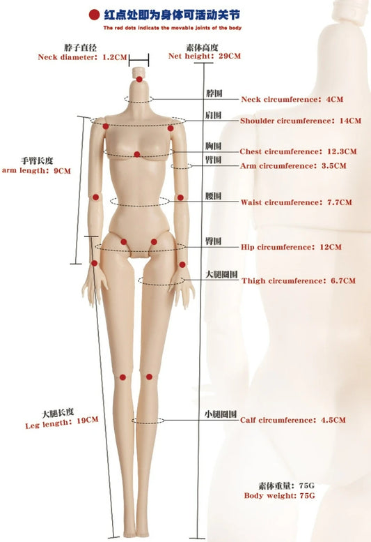 1/6 Super Model Doll Body Joints Movable Solid Doll Long Nails 30cm Replacement Body For FR/IT Doll Heads DIY Playing Toys