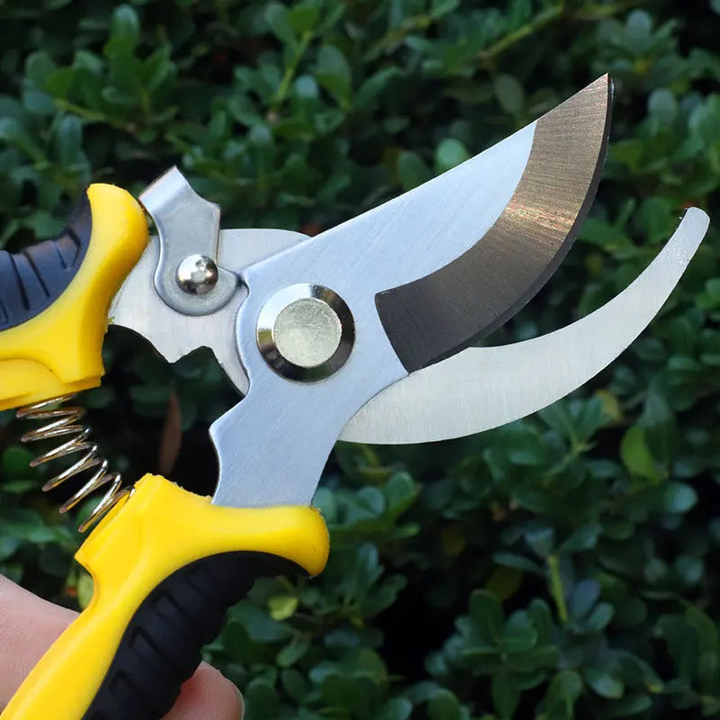 Professional Garden Scissors for Branch Trimming Fruit Tree Pruning Heavy Duty Household Gardening Shears