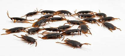 50/10/5PCS Fake Cockroach Centipede Scorpion Kids Trick Props Fake Roaches Plastic Bugs Toy Party Supplies Halloween Decoration