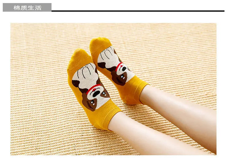 5 Pairs Lolita Japanese Woman Cute White Short Socks Set Girl Spring Summer Sweet Ruffle Lovely Cotton Socks For Women