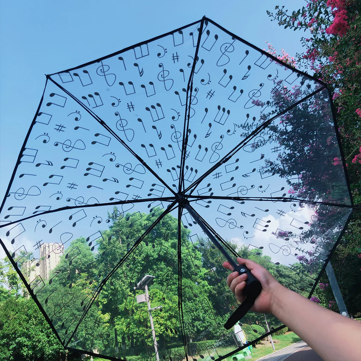 1Pc-Korean Transparent Umbrella Folding Automatic Open and Close Umbrella Mori Three-Fold Student Sunny Umbrella