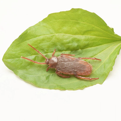 50/10/5PCS Fake Cockroach Centipede Scorpion Kids Trick Props Fake Roaches Plastic Bugs Toy Party Supplies Halloween Decoration