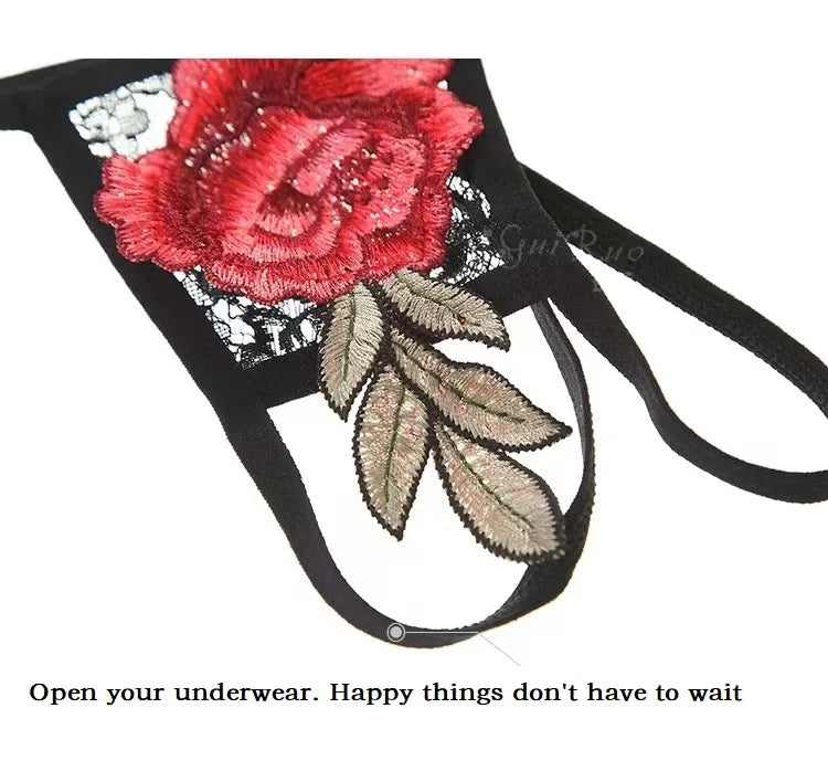 2025 Sensual Lingerie for Woman Lace Transparent Underwear Fairy Embroidery Brief Sets Delicate Bra Thongs Kit Push Up Sex Suit
